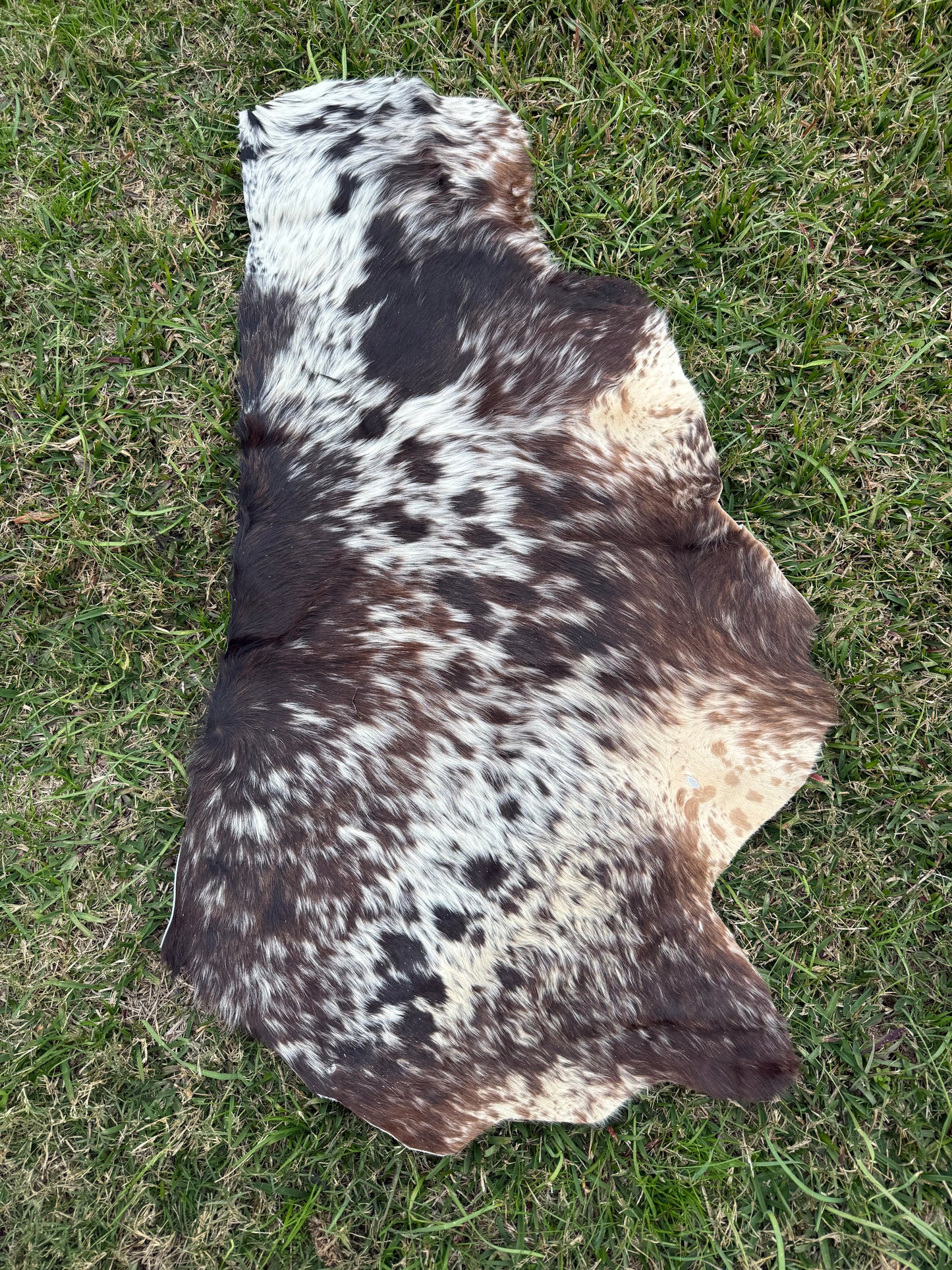 Craft hide side - 156