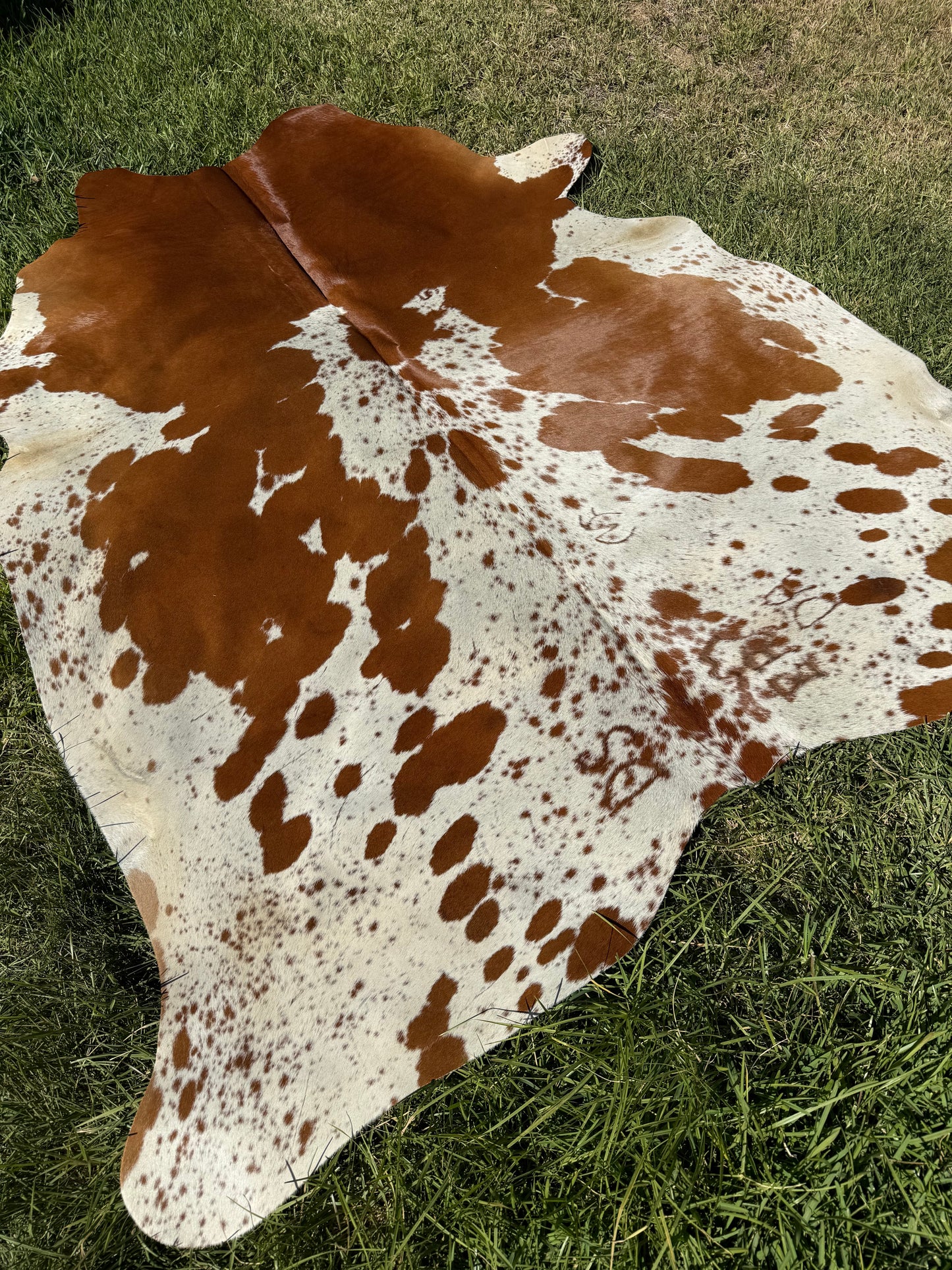 Cowhide Rug 403