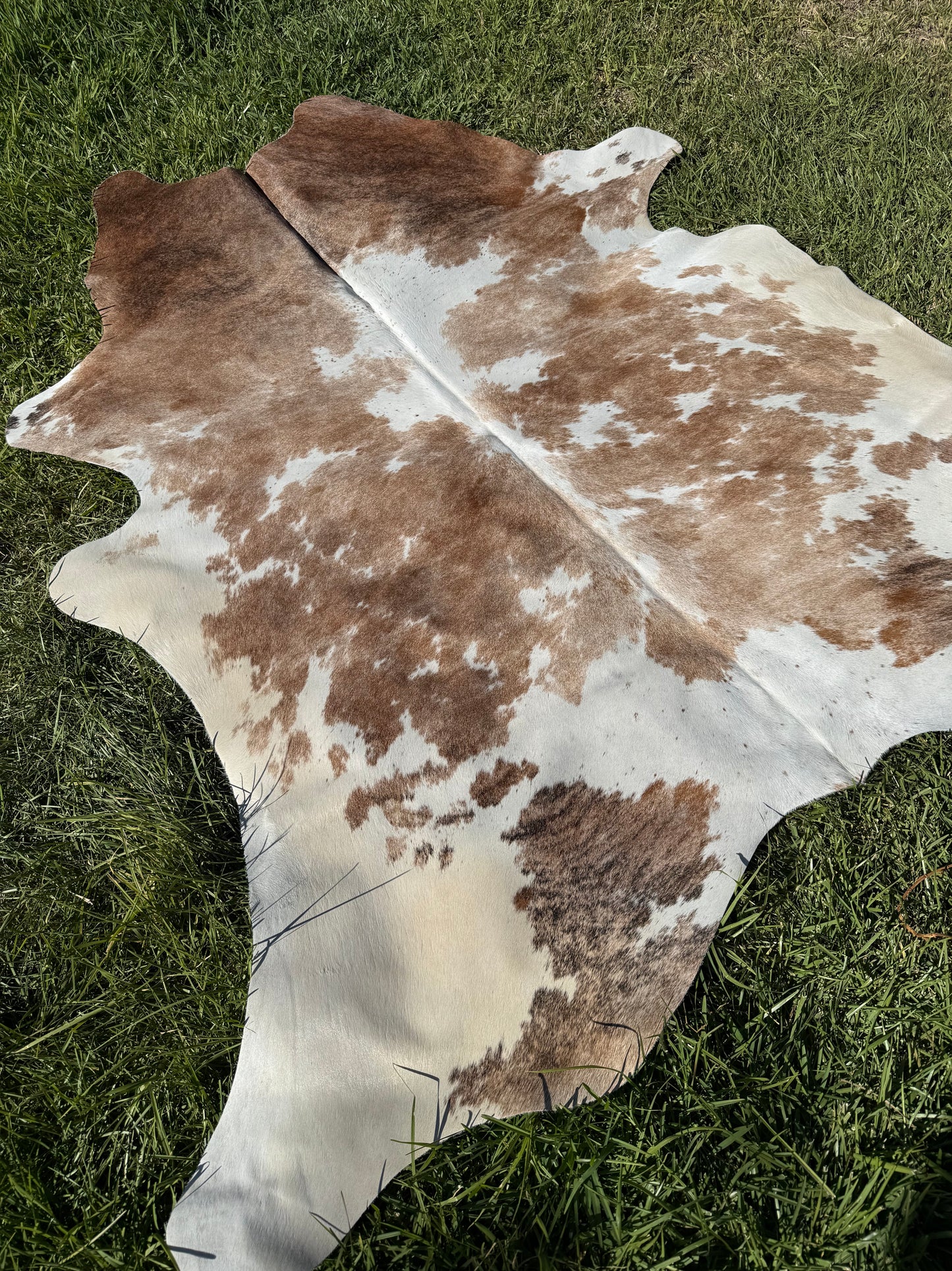 Cowhide Rug 409 - Small