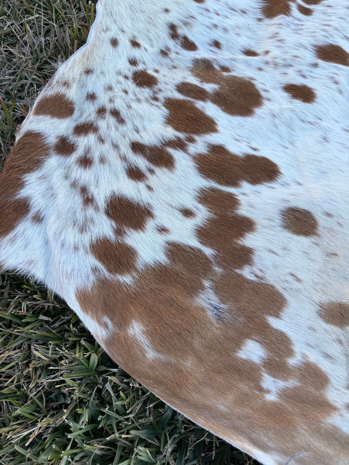 Craft hide side - 194