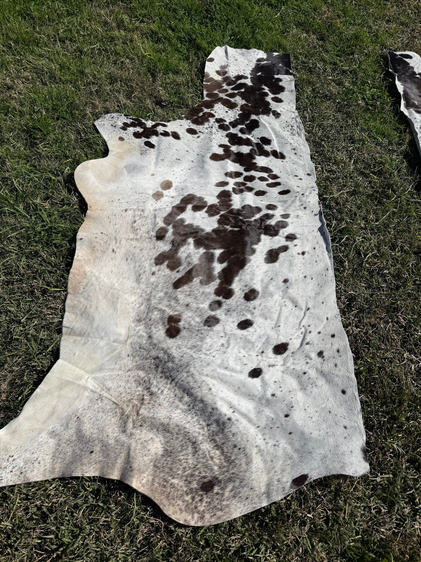 Craft hide side - 187