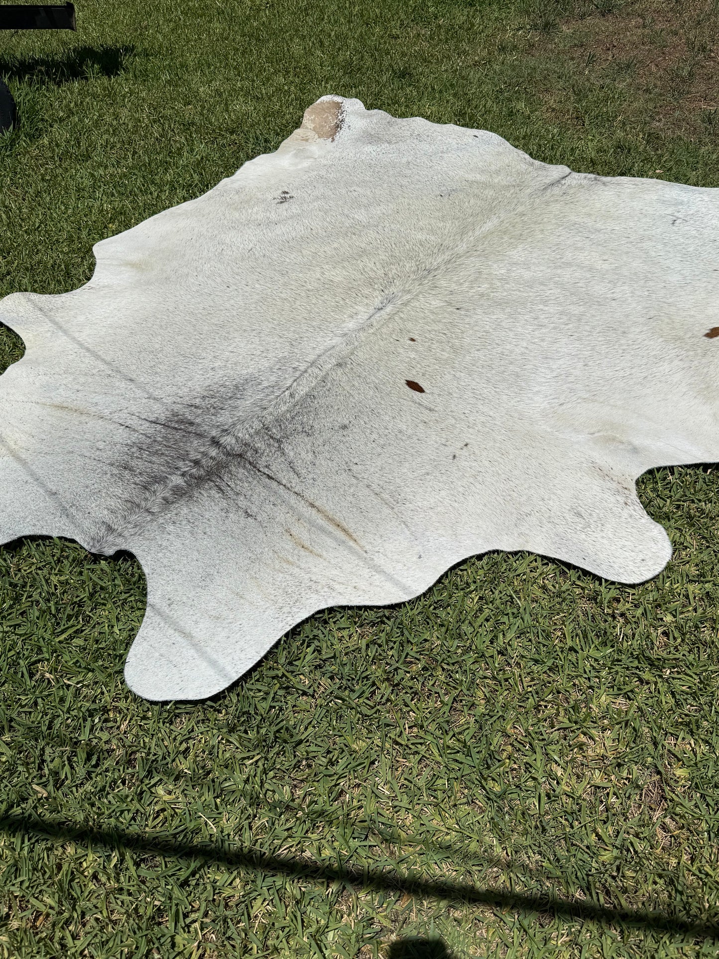 Cowhide Rug 367