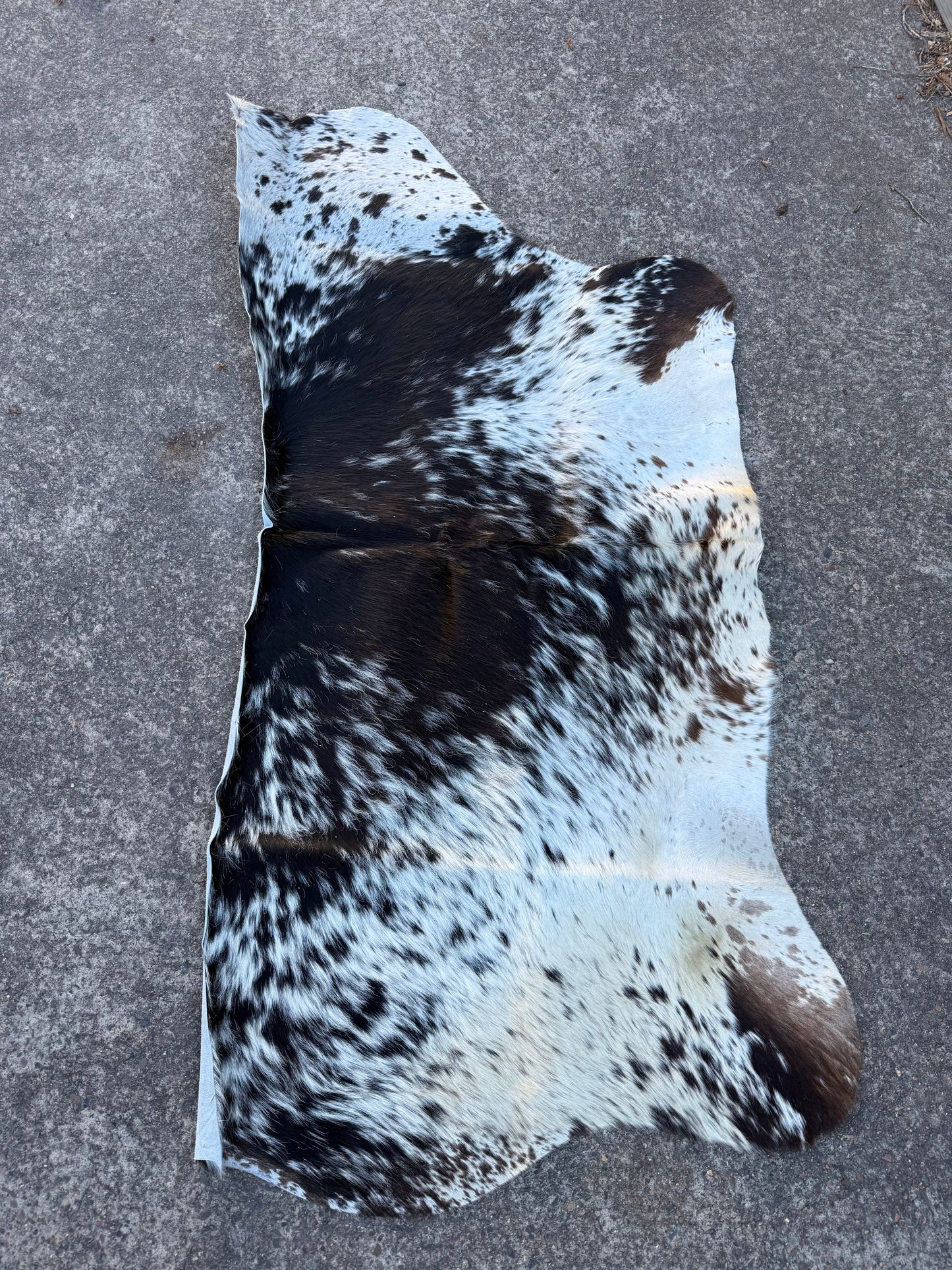 Craft hide side - 164