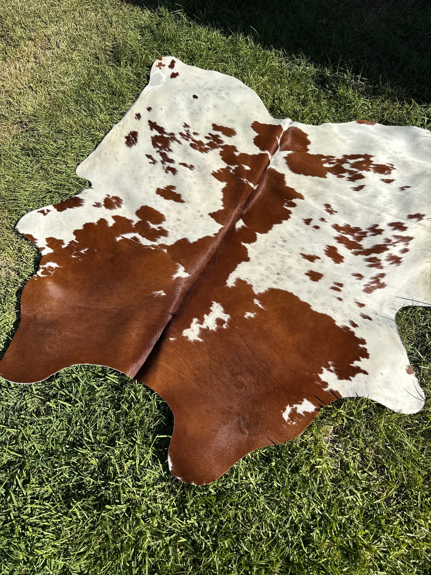 Cowhide Rug 410 - Small