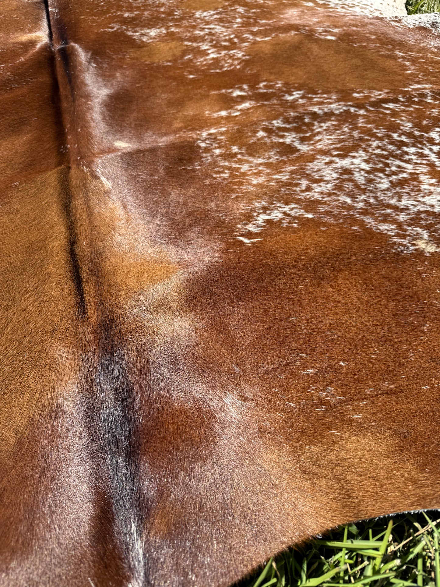 Cowhide Rug 400