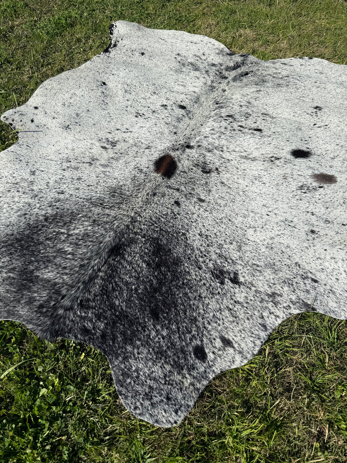 Cowhide Rug Small 309