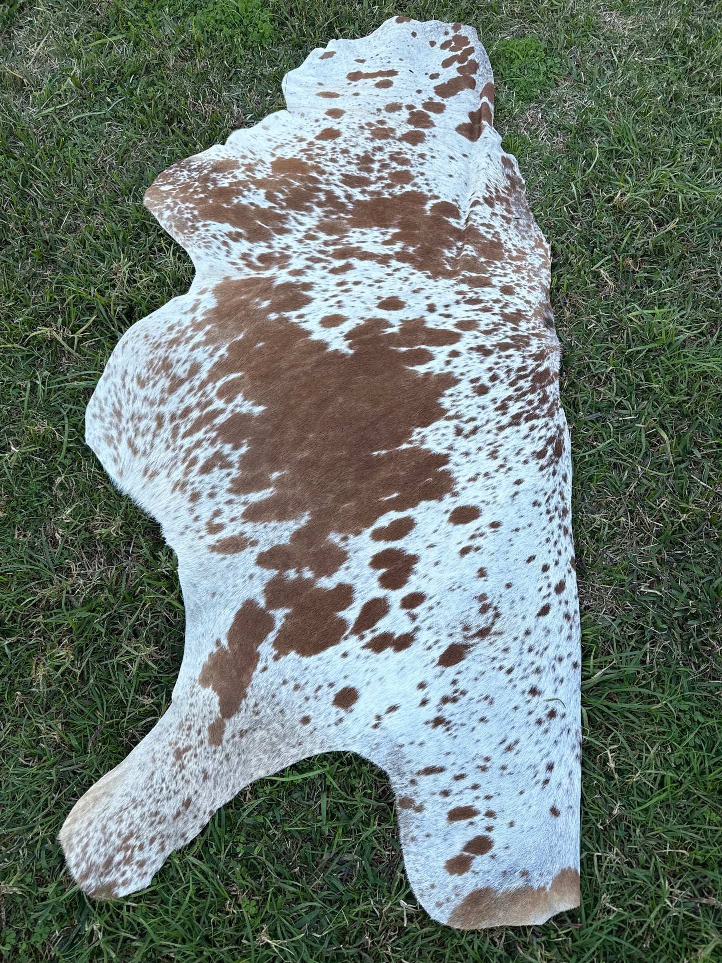 Craft hide side - 147
