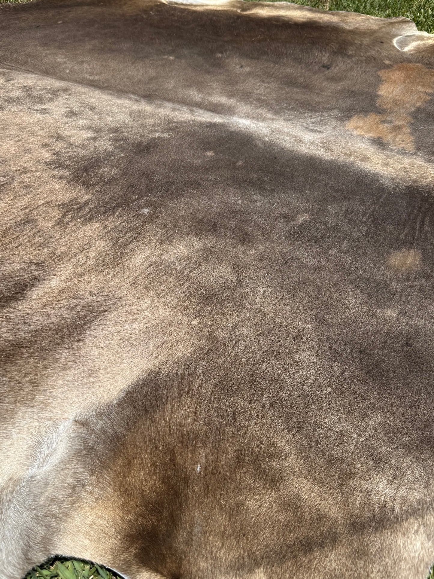 Cowhide Rug 366
