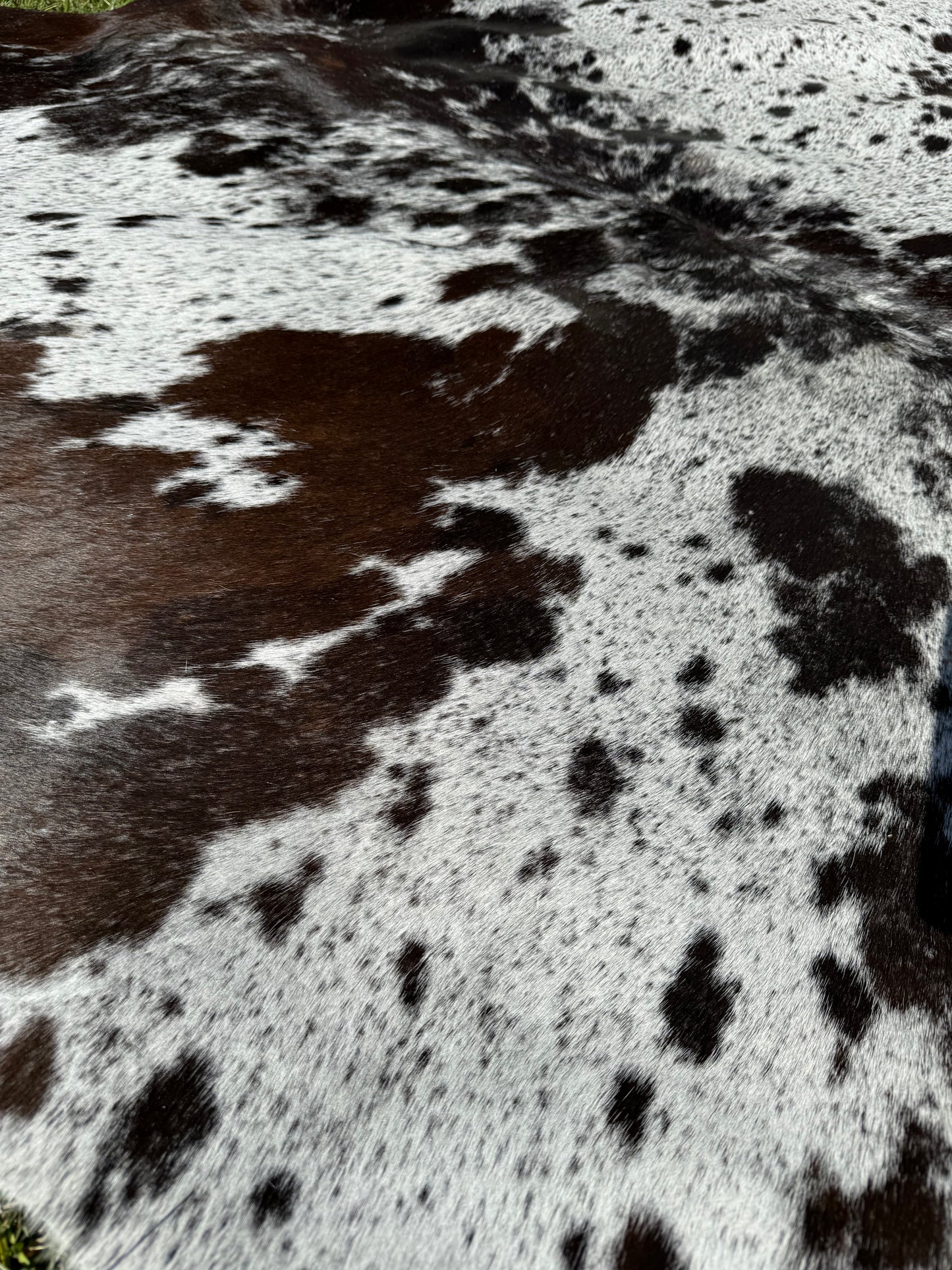 Cowhide Rug 301