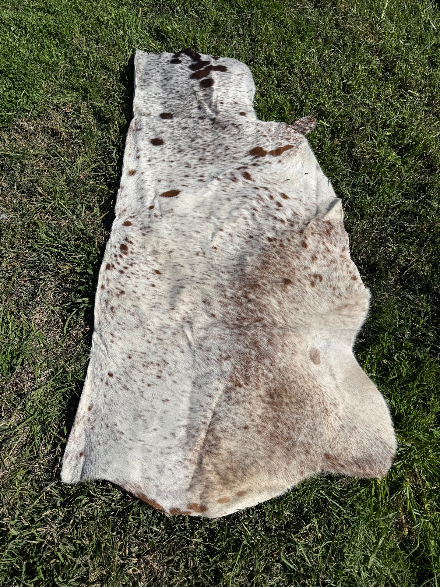 Craft hide side - 180