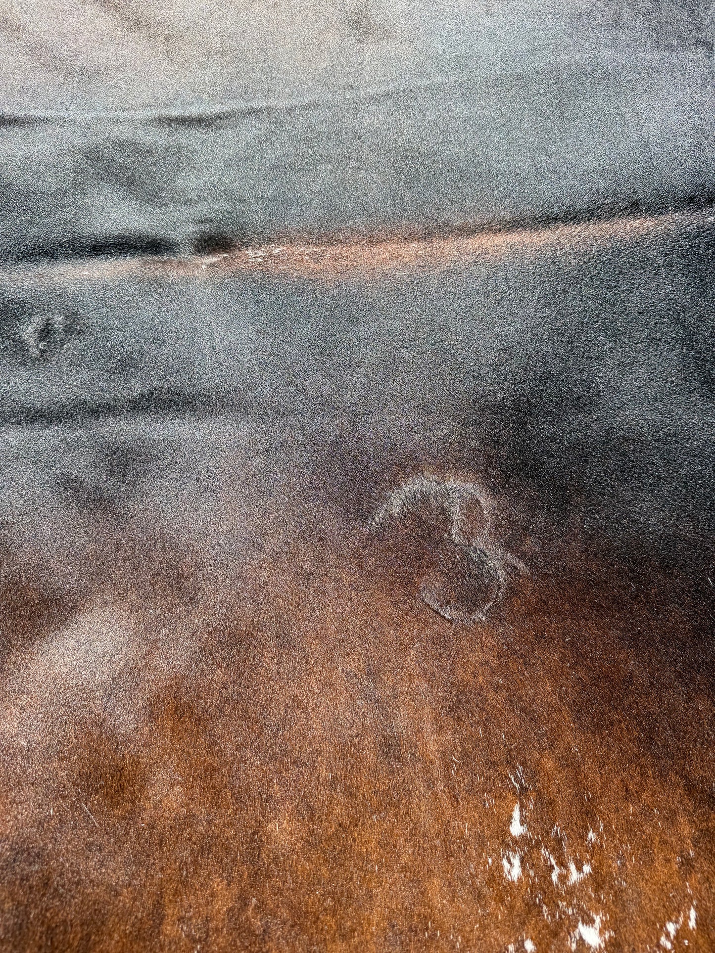 Cowhide Rug 405