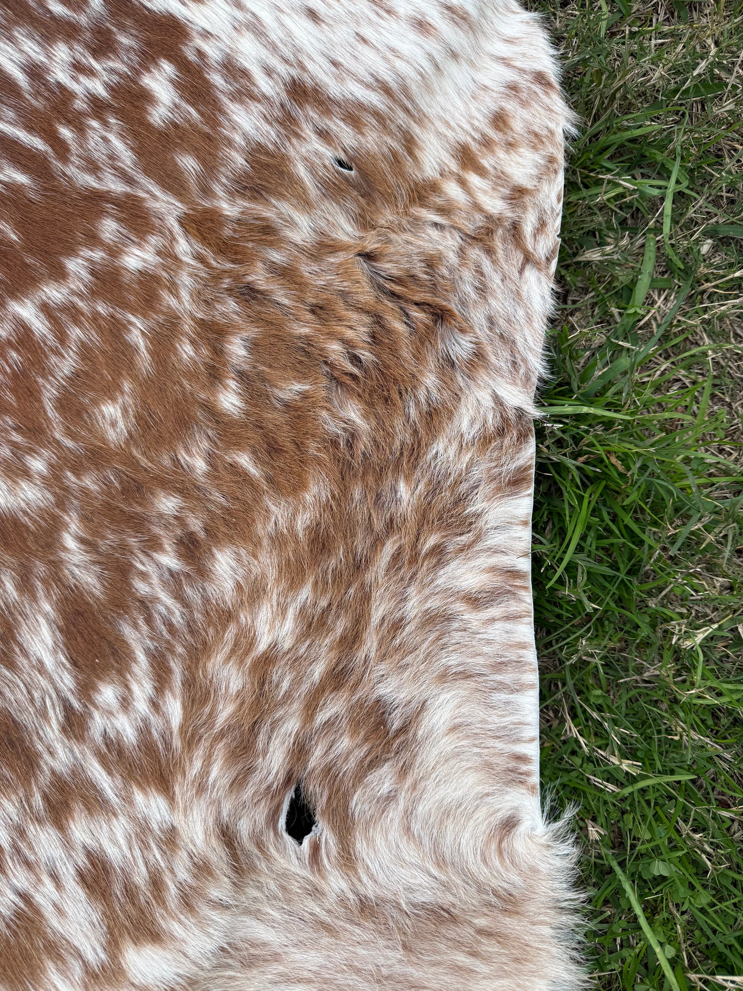 Craft hide side - 157