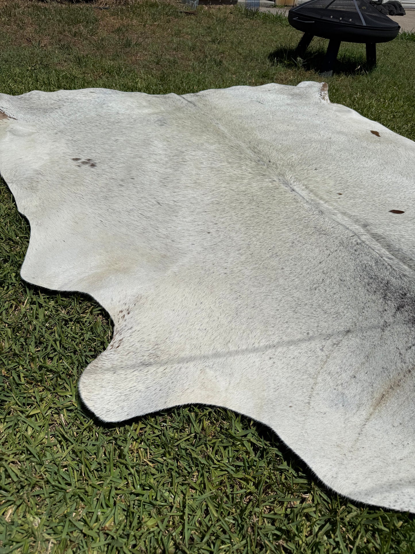 Cowhide Rug 367