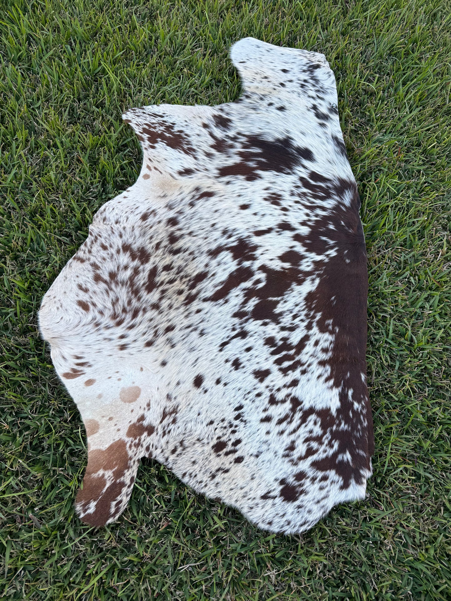 Craft hide side - 143