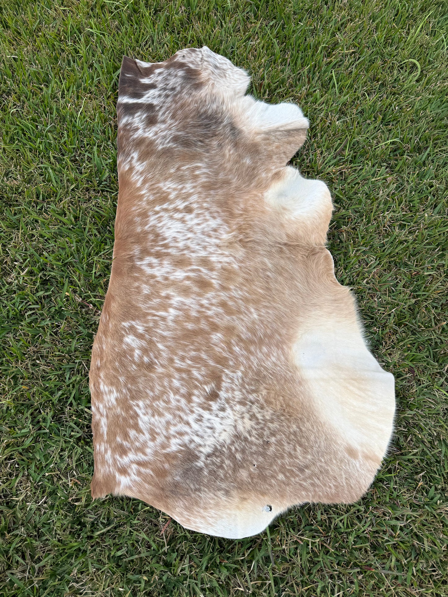 Craft hide side - 130
