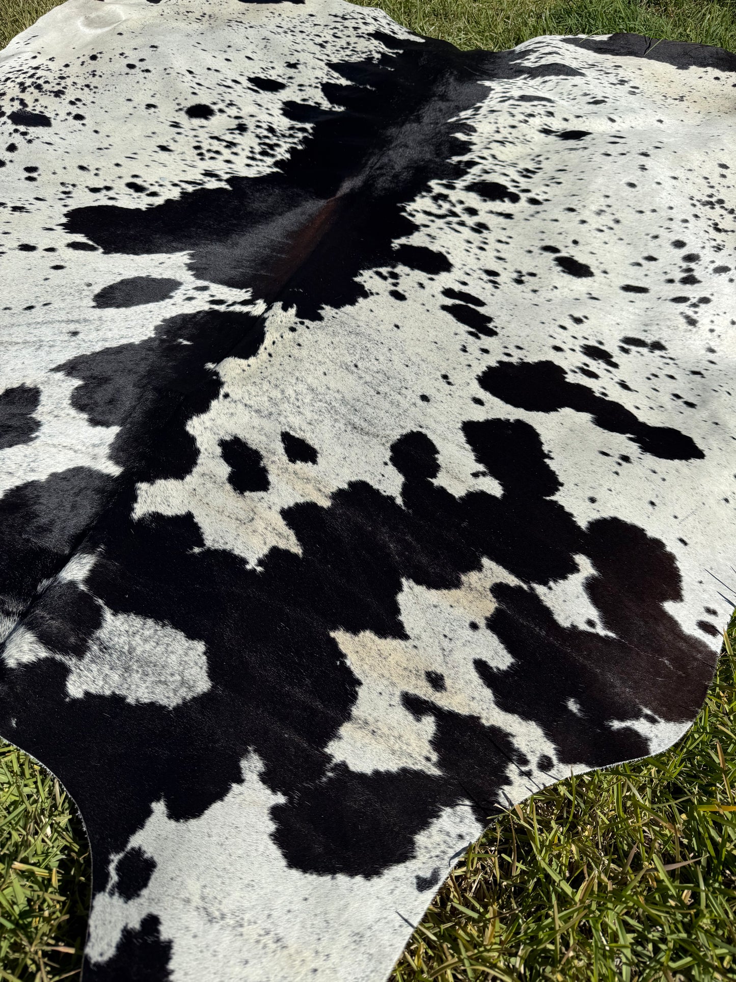 Cowhide Rug 413