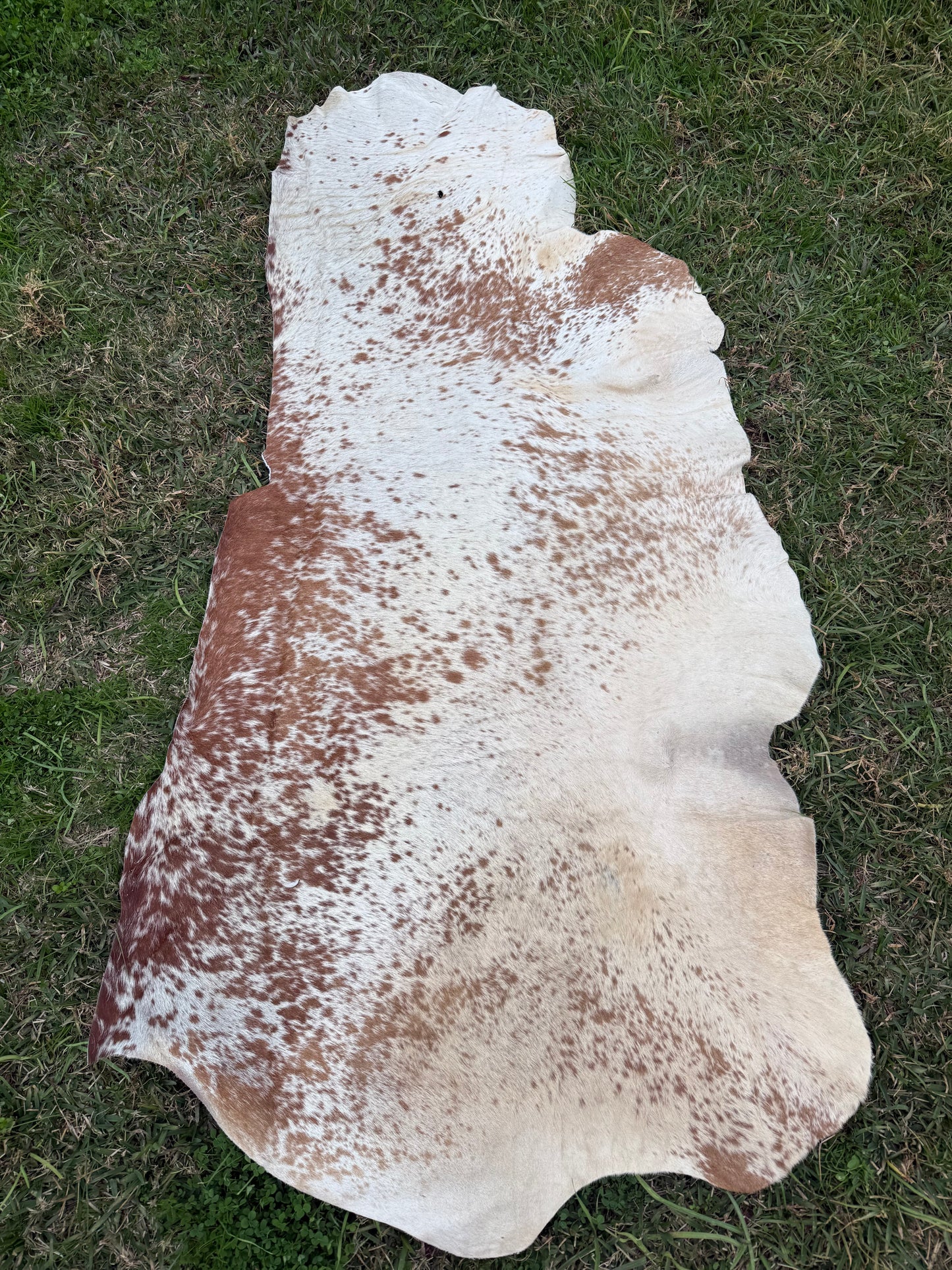 Craft hide side - 154
