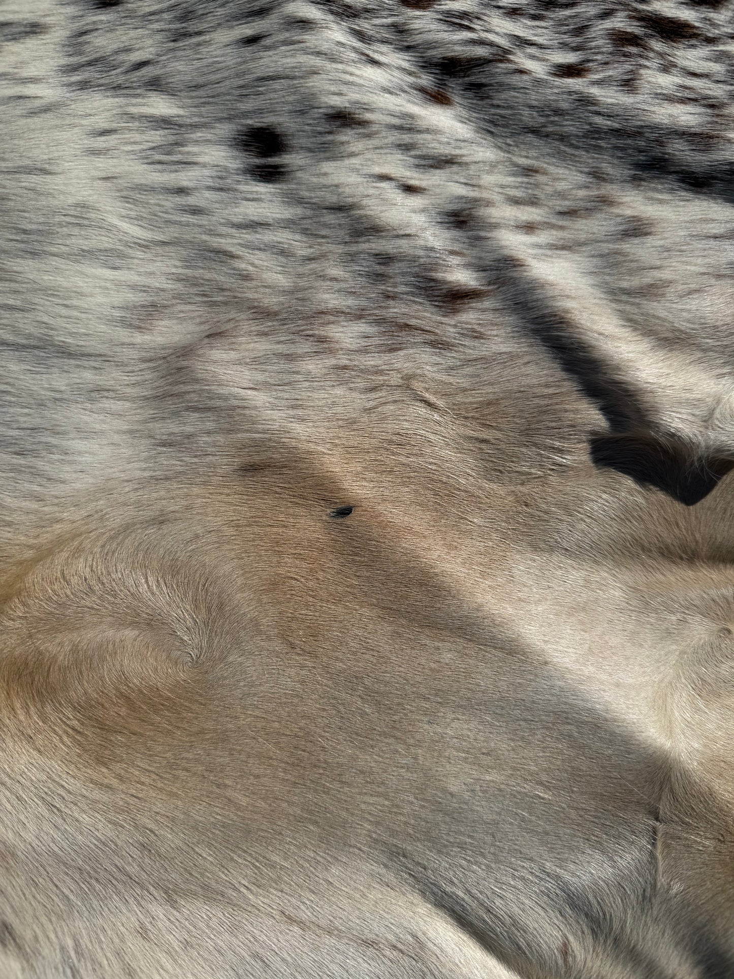 Craft hide side - 172