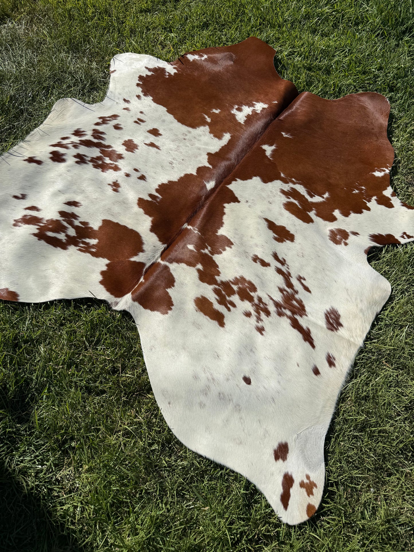 Cowhide Rug 410 - Small