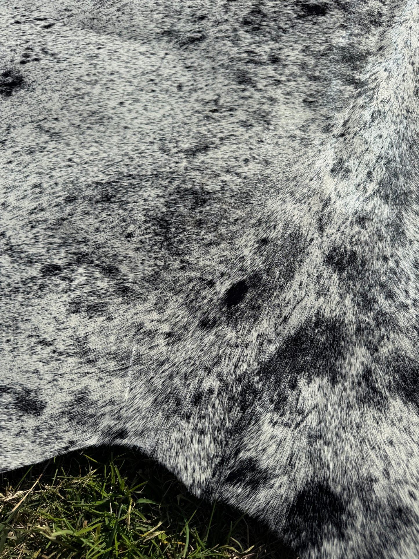 Cowhide Rug Small 309