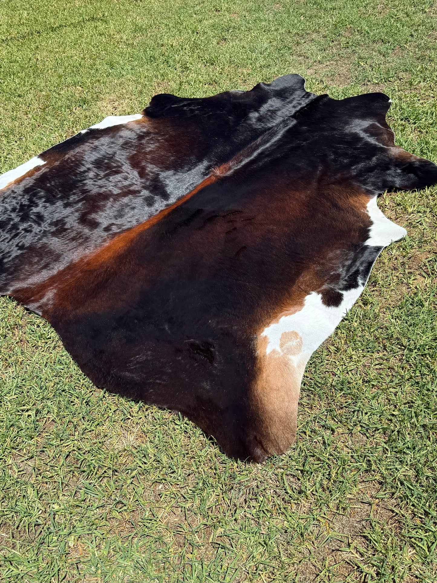 Cowhide Rug 368