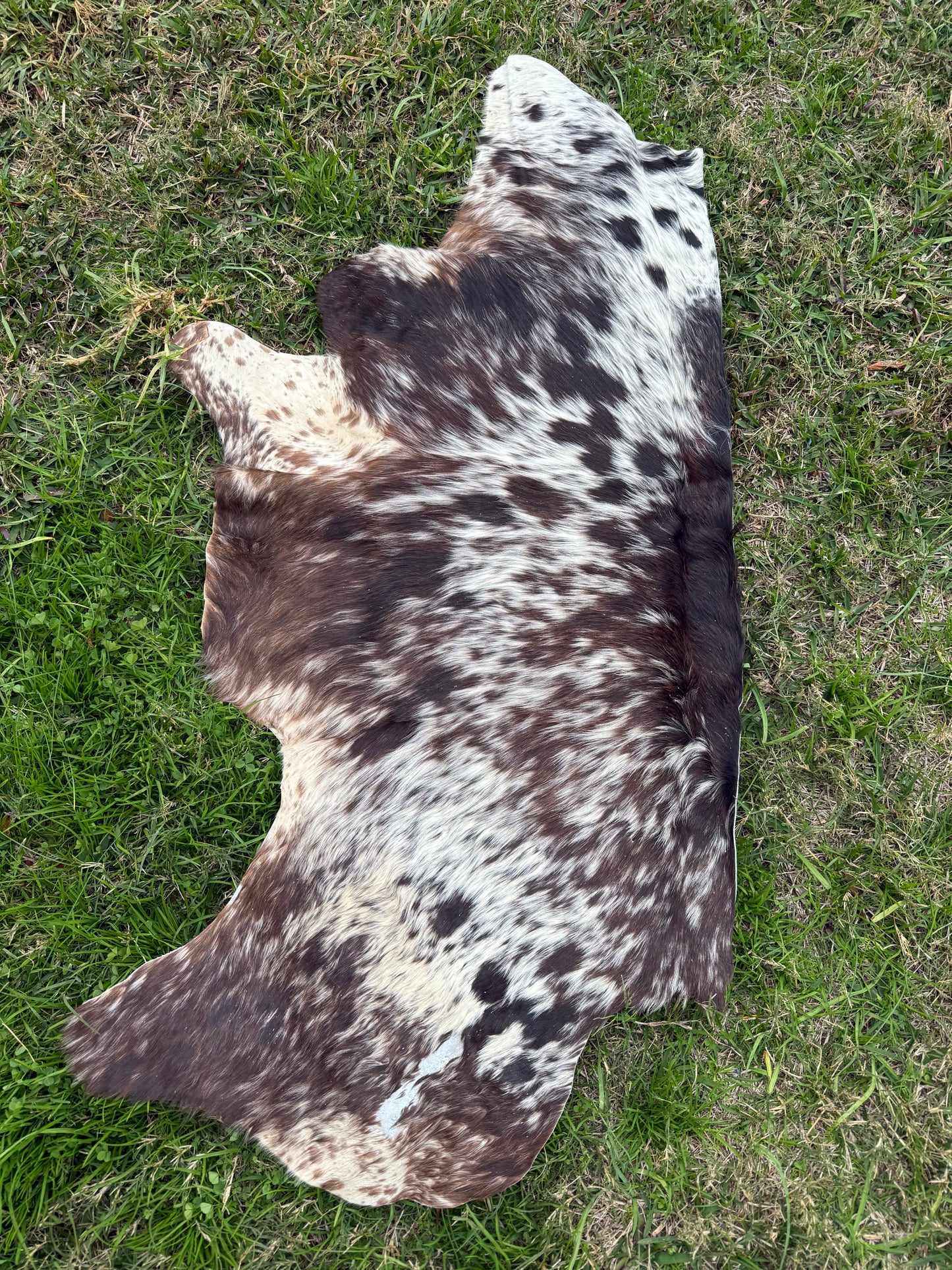 Craft hide side - 155