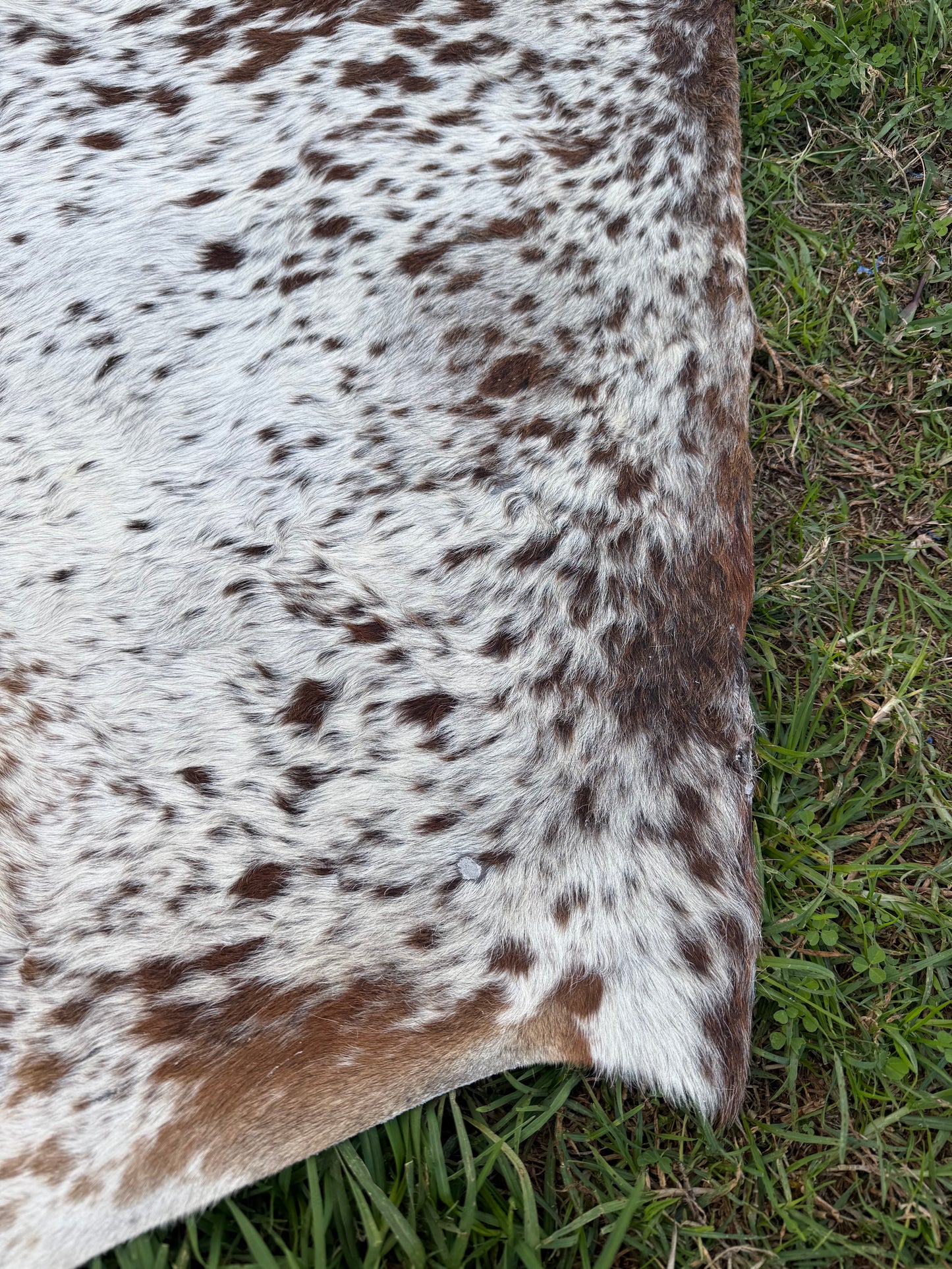 Craft hide side - 139