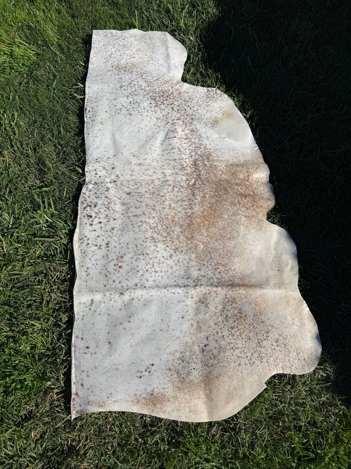 Craft hide side - 174