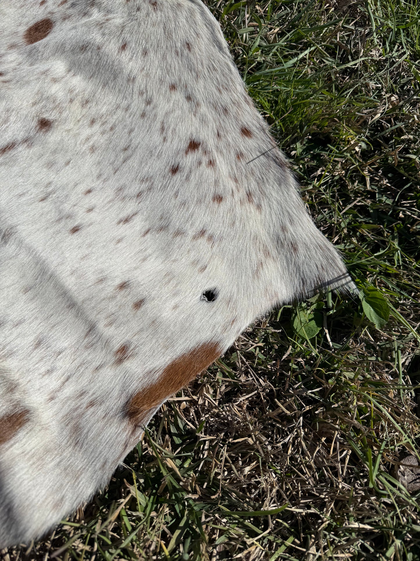 Craft hide side - 179