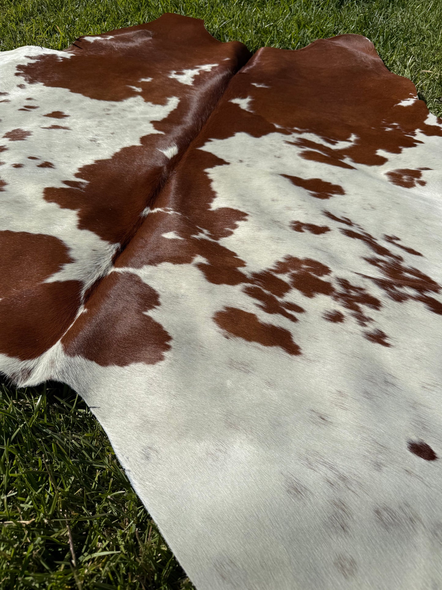 Cowhide Rug 410 - Small