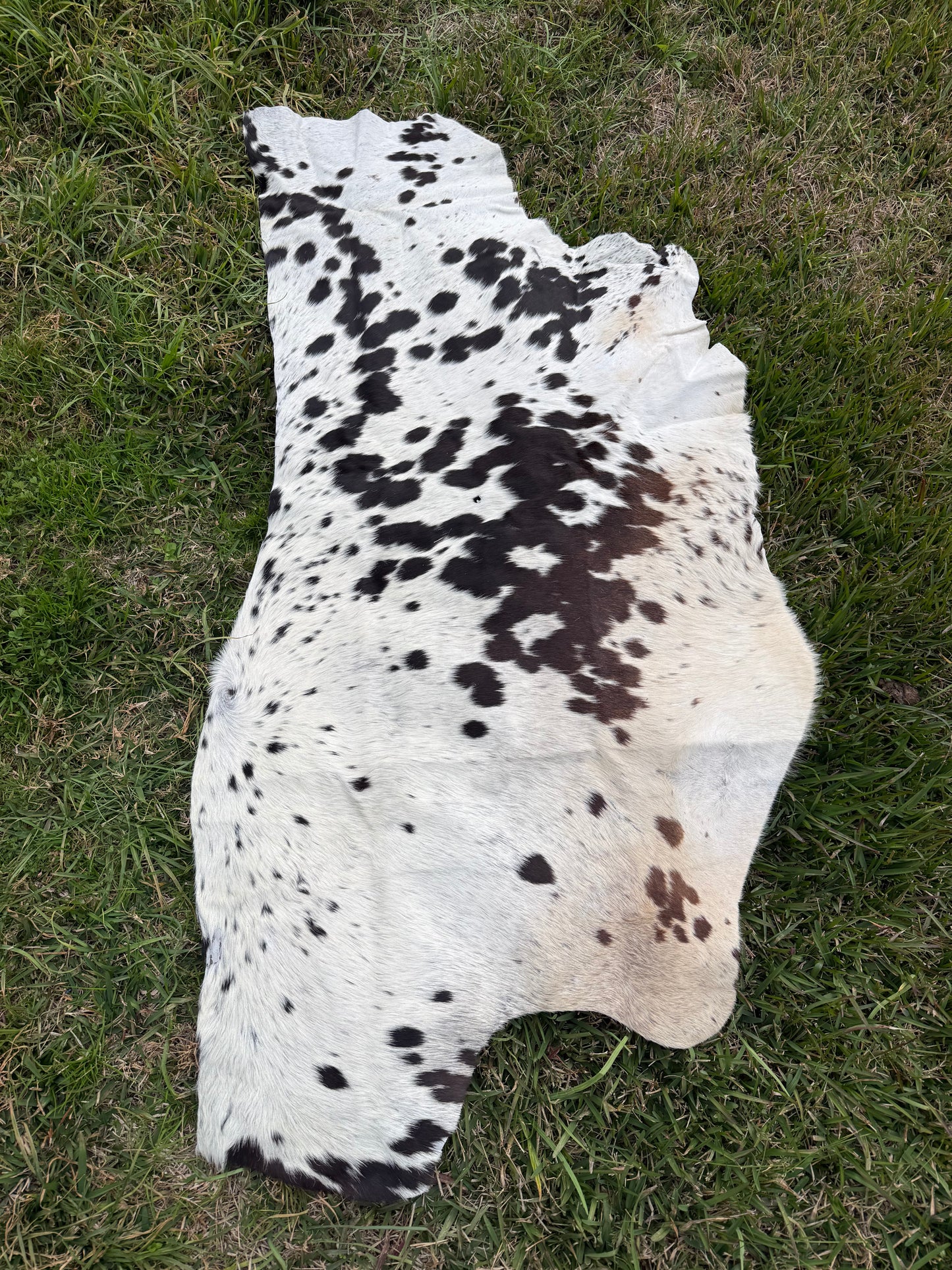 Craft hide side - 160