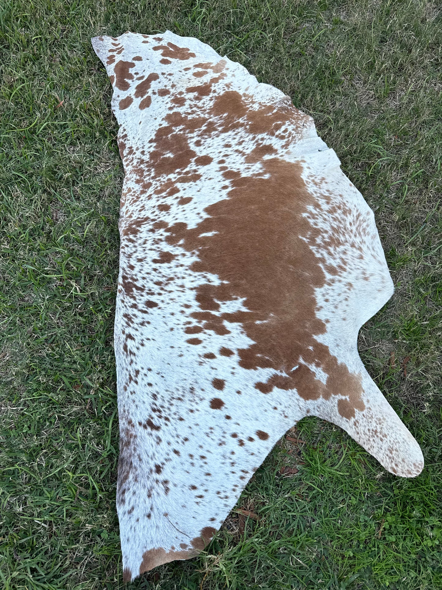 Craft hide side - 148