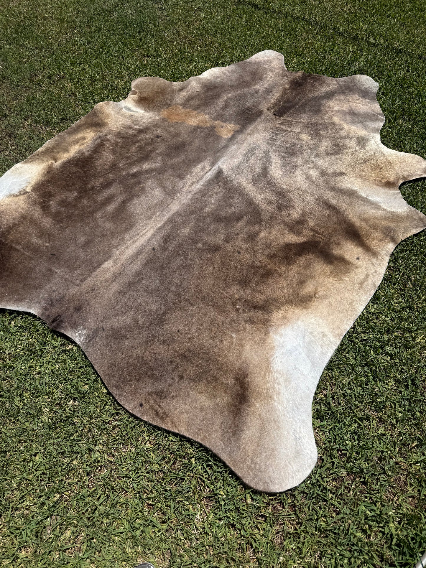 Cowhide Rug 366