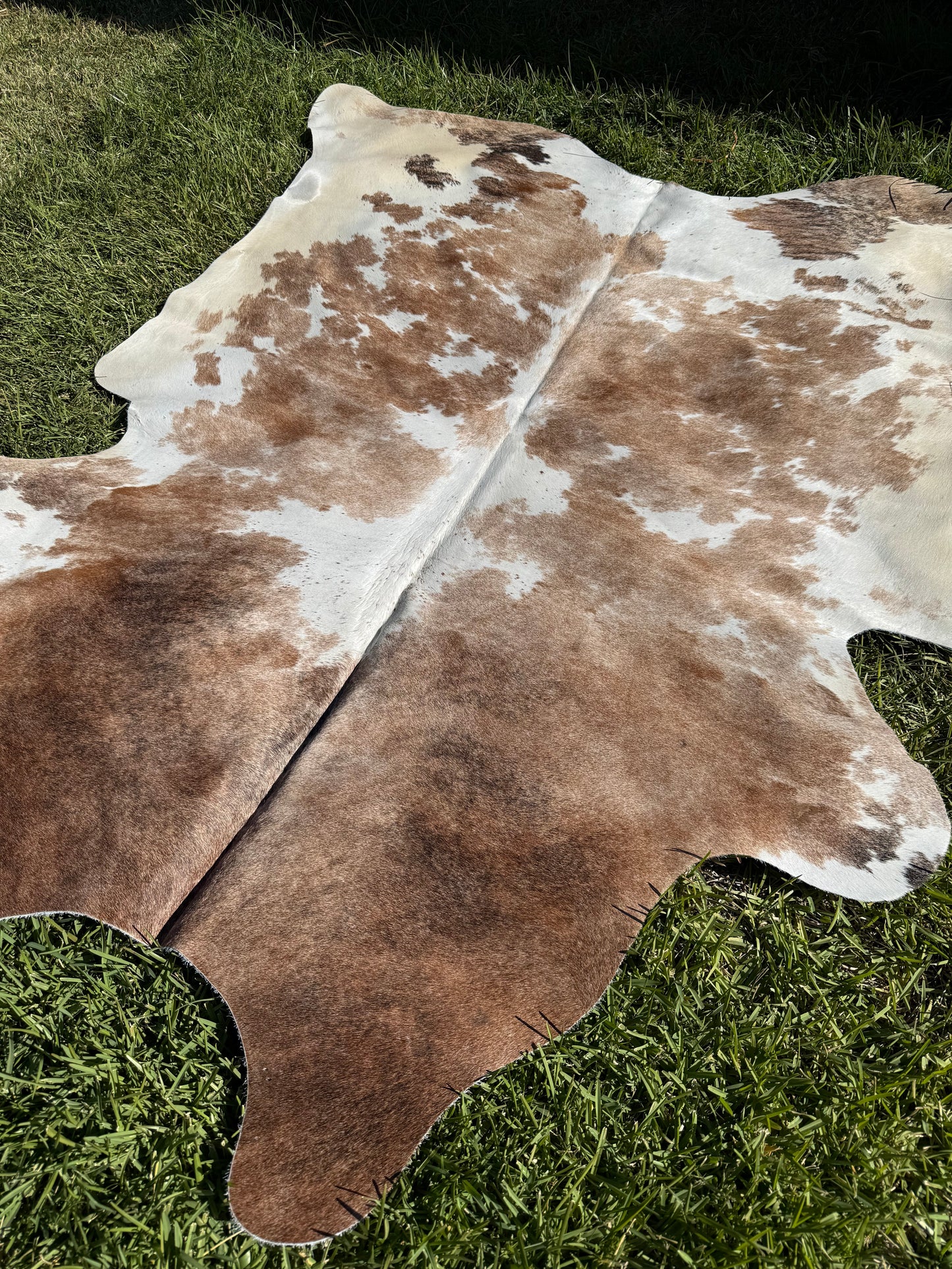 Cowhide Rug 409 - Small