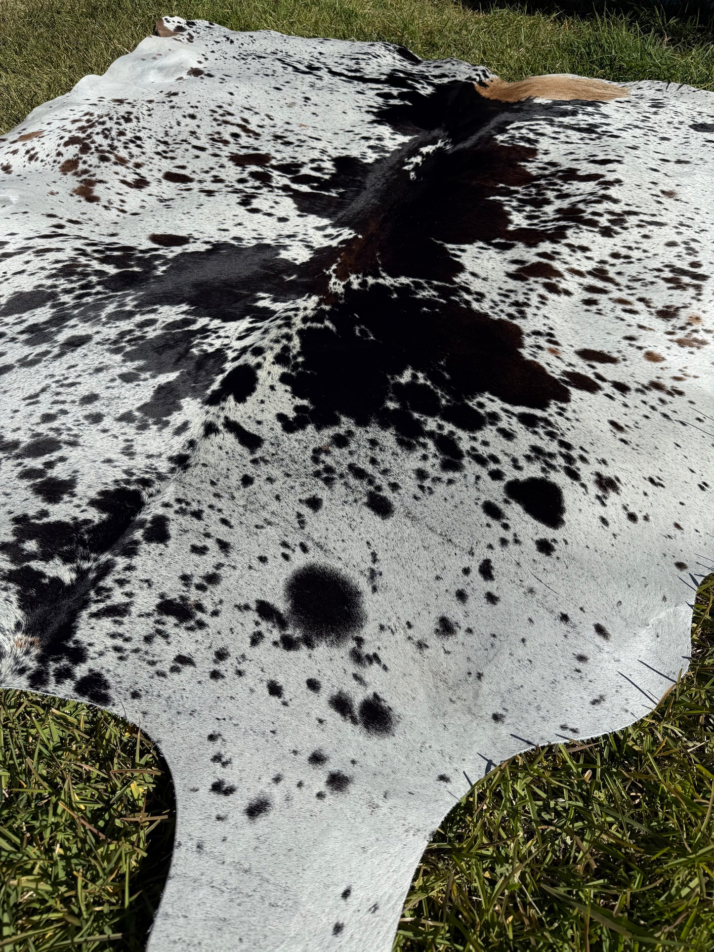 Cowhide Rug 414
