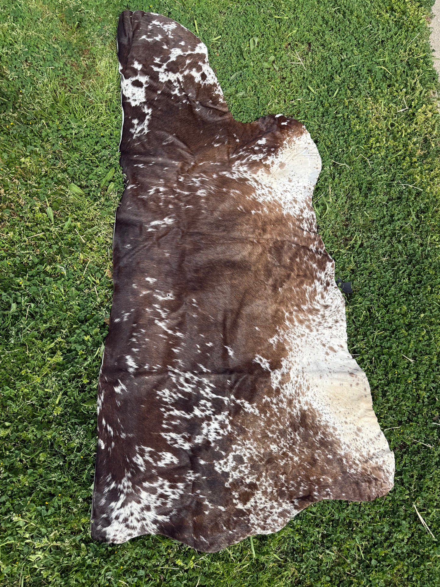 Craft hide side - 23