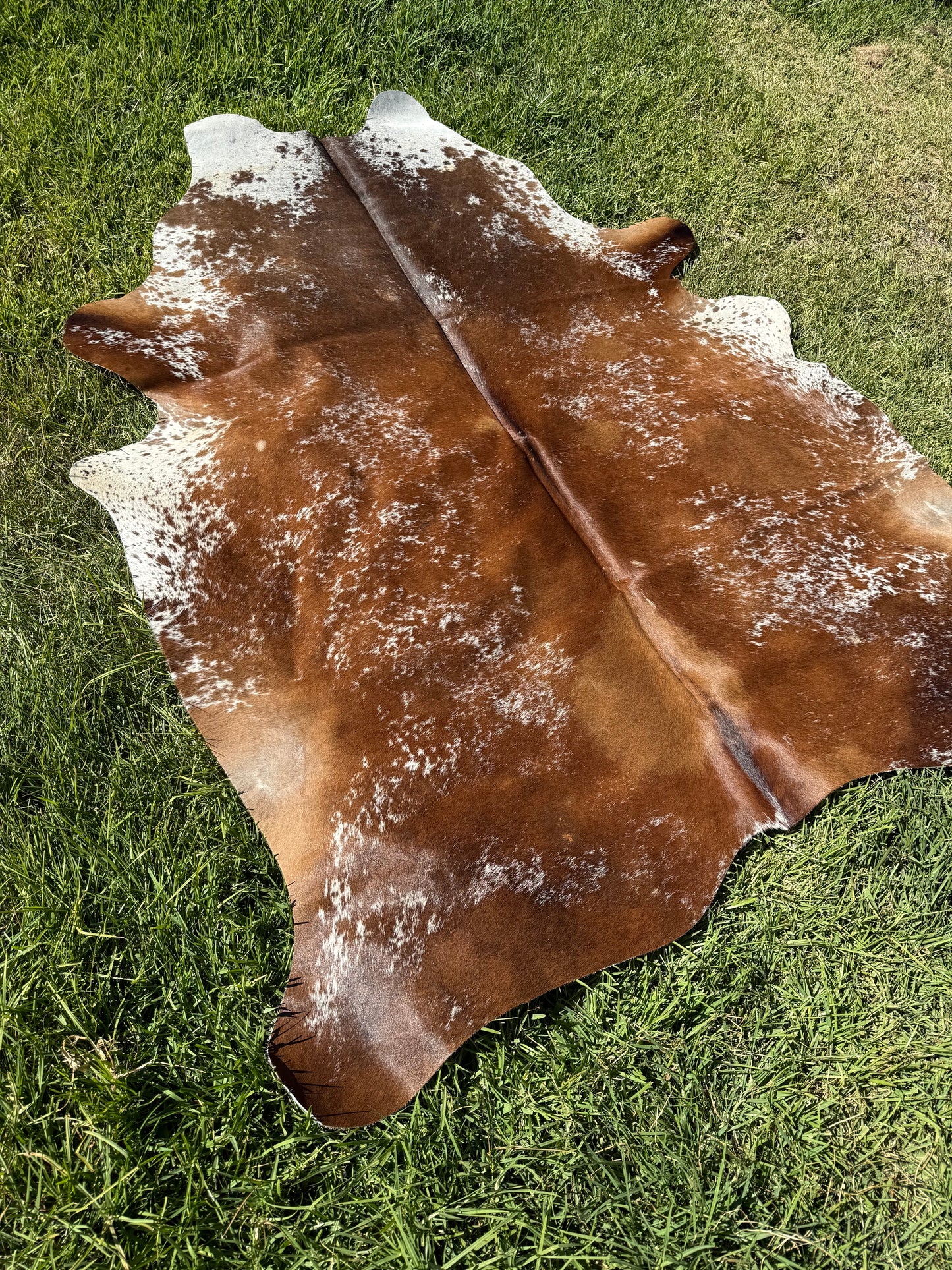 Cowhide Rug 400