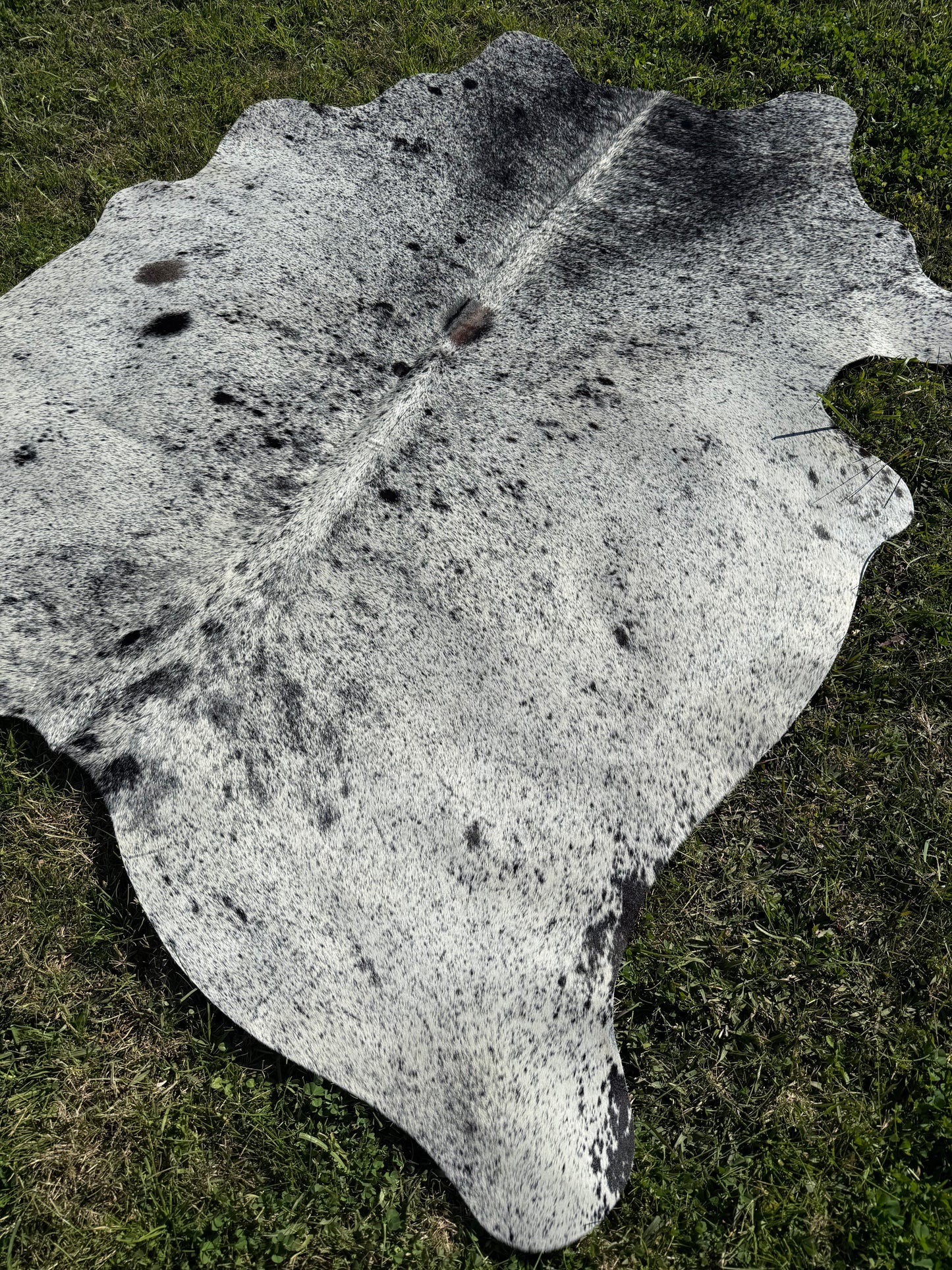 Cowhide Rug Small 309