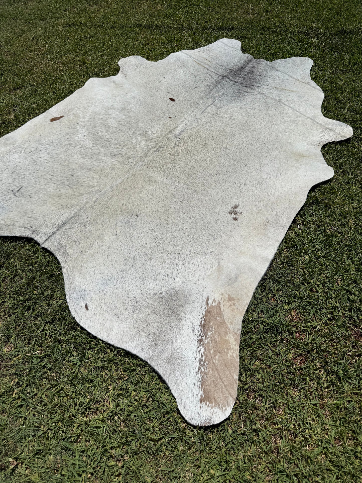 Cowhide Rug 367