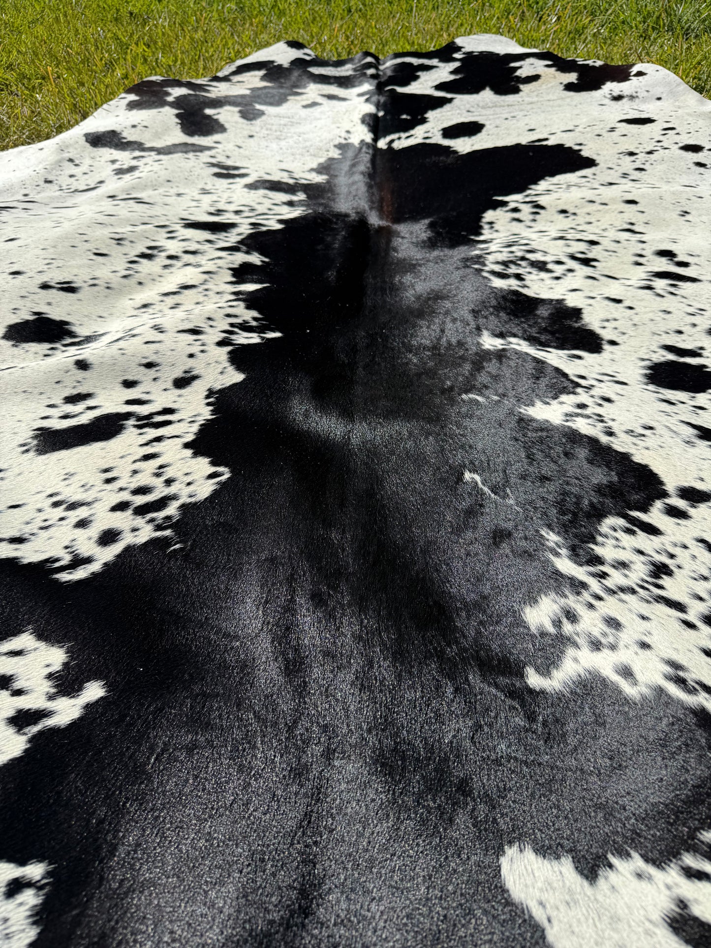 Cowhide Rug 413