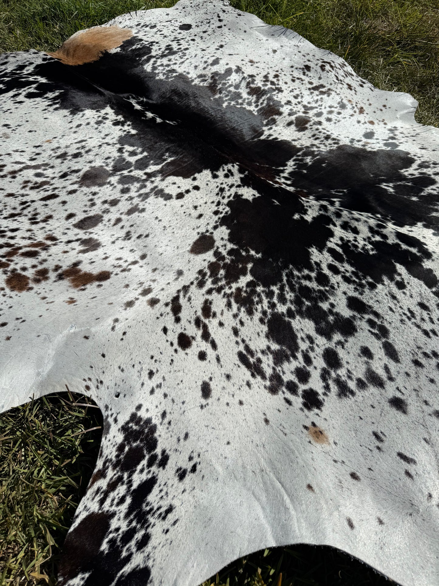 Cowhide Rug 414