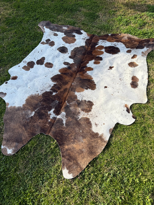 Cowhide Rug 316