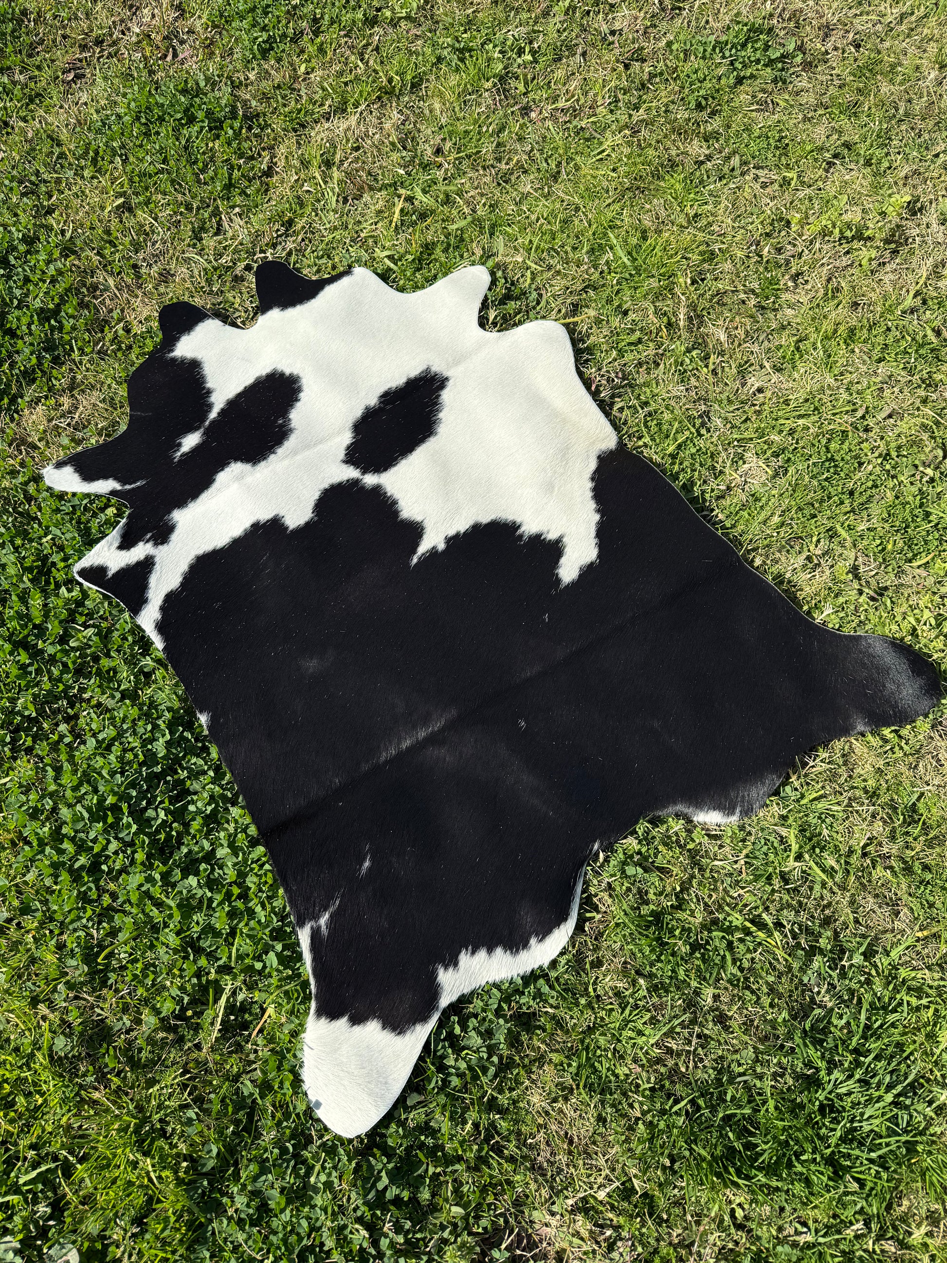 Mini Cowhide Rug Mini Cowhide 11 – hunterandhide