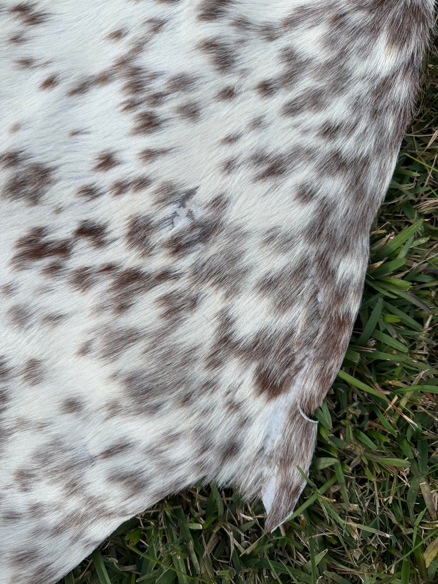 Craft hide side - 137