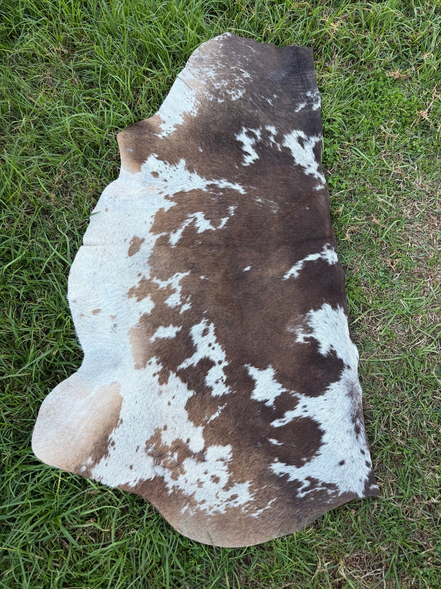 Craft hide side - 149