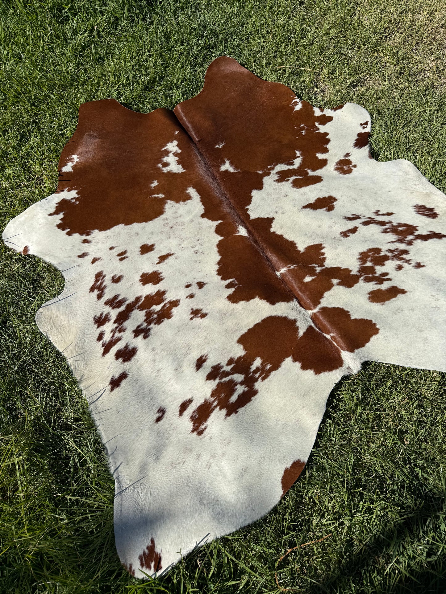 Cowhide Rug 410 - Small