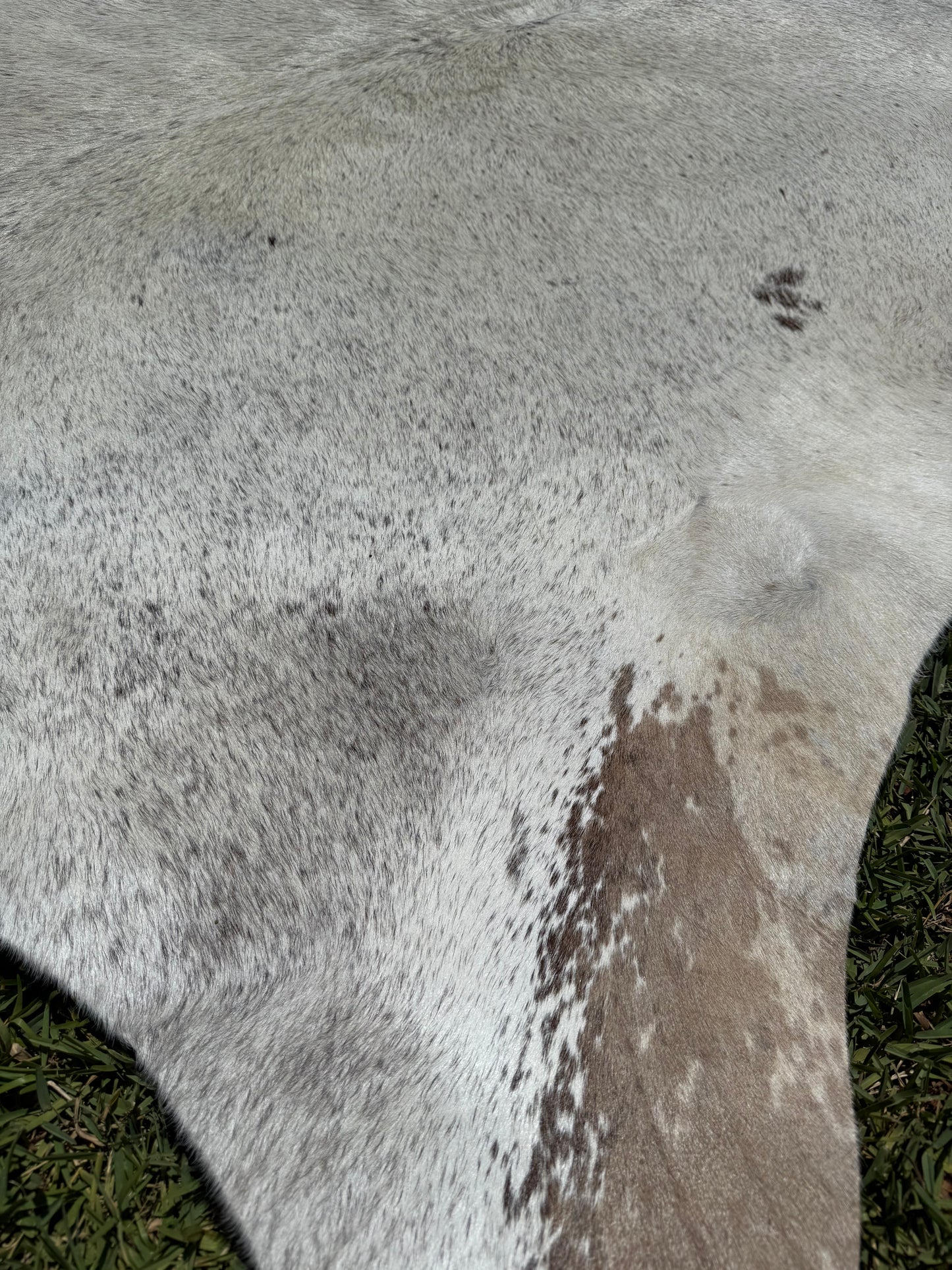 Cowhide Rug 367