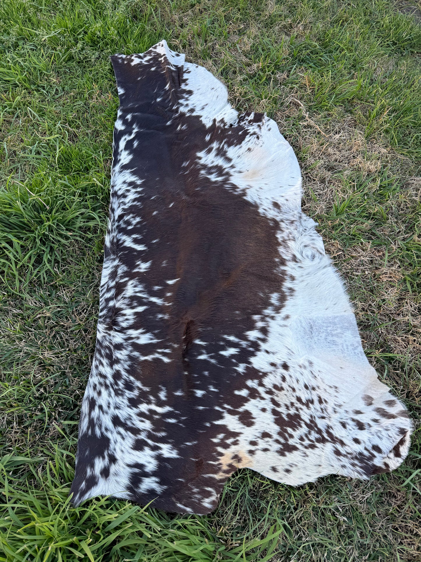 Craft hide side - 198
