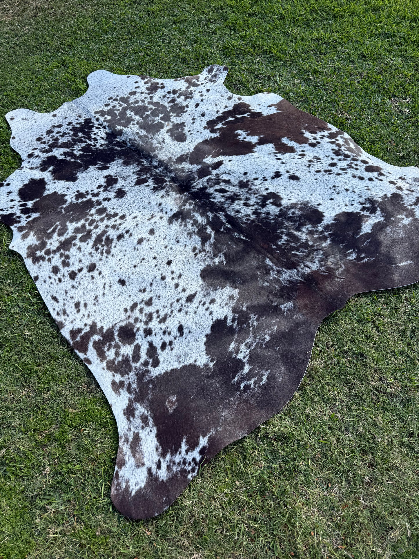 Cowhide Rug 301