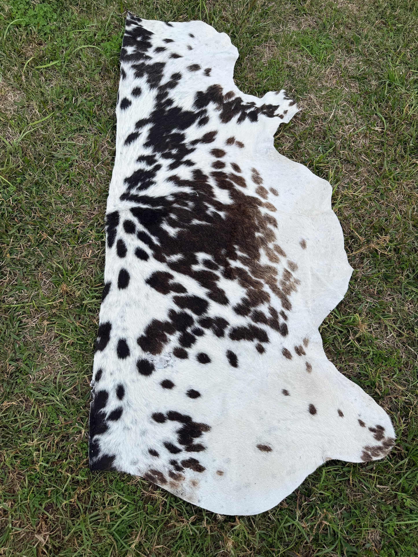 Craft hide side - 131